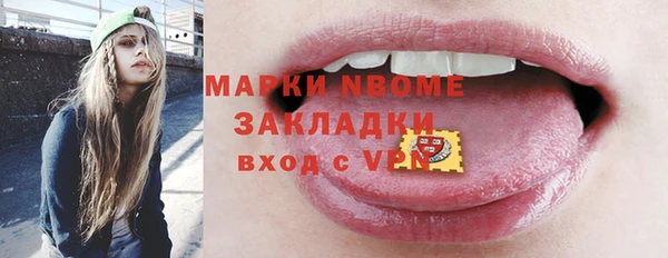 МДПВ Бородино