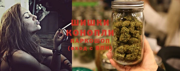 стаф Верея