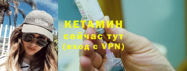 стаф Верея