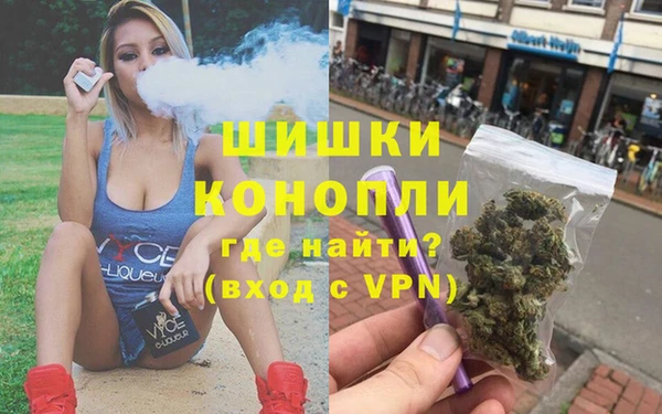 дживик Верхний Тагил