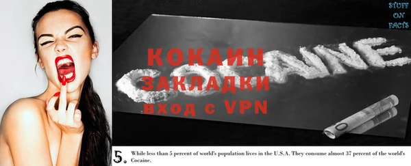 стаф Верея