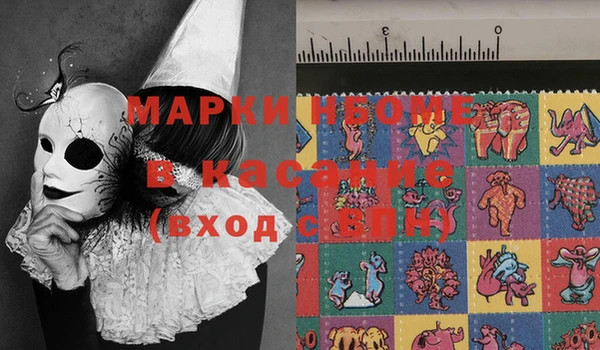 дживик Верхний Тагил